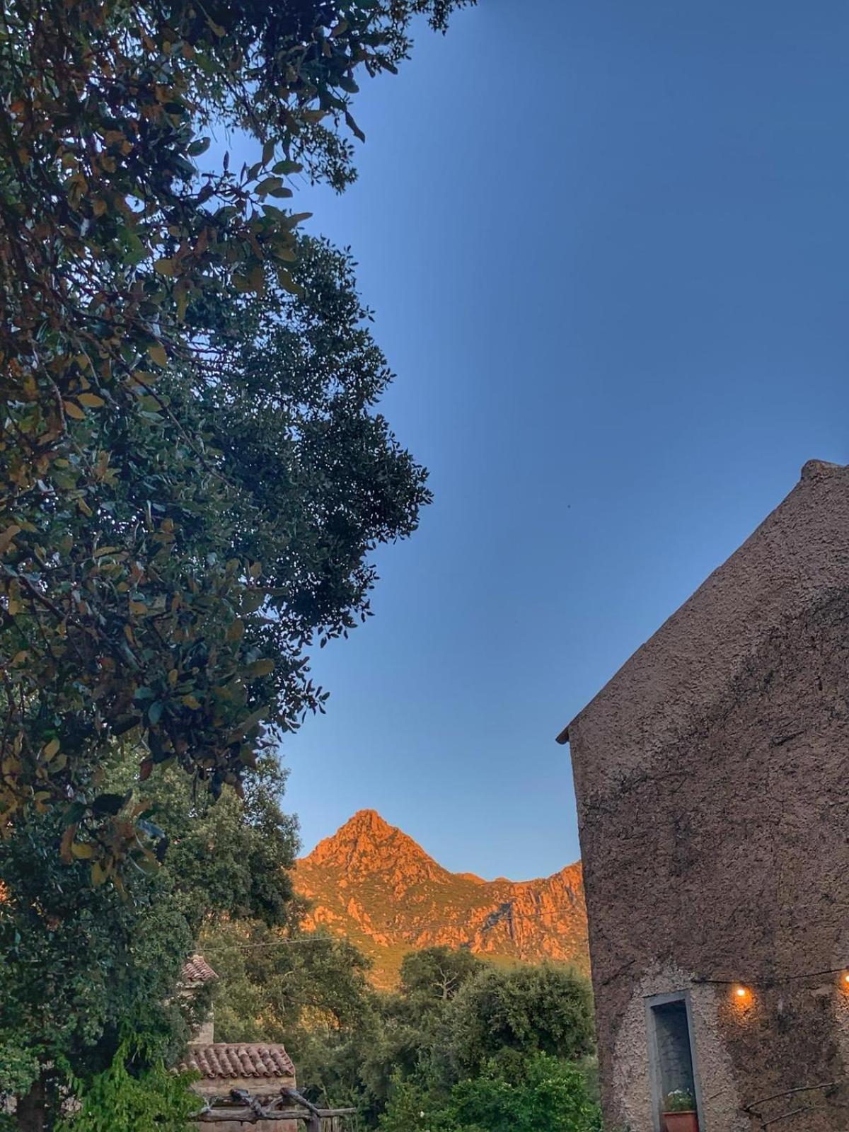 Agriturismo Casteddu Padru Exterior foto